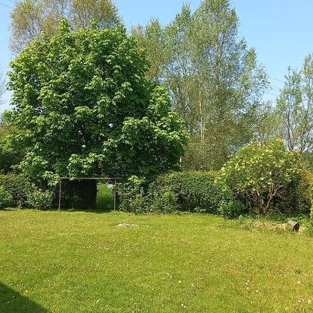 Apartman V Jame Černá v Pošumaví Exterior foto